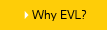 Why EVL?